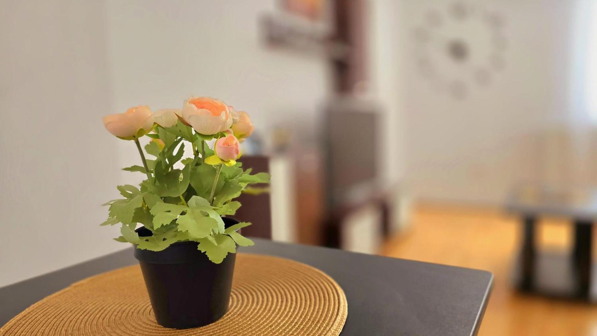Apartament Confort Hd Хунедоара Екстериор снимка